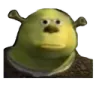 Shrekbruh