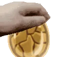 mslpEggu