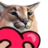 SCfloppalove SCfloppalove