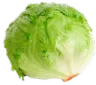 bettuce
