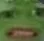CK_disgust