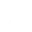 IVElogo