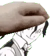 rokuropet
