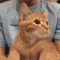 FUCK_DancingGayRslurFAST