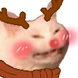 deerbakacat Discord emoji