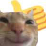 catUp Discord emoji