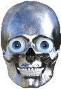 skull