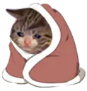 sadburritocat Discord Emoji
