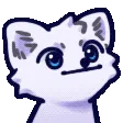 popopopop