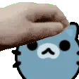 AZCat_pet