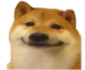LZA_smilingdawg LZA_smilingdawg