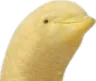 notAnanner