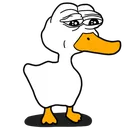 qa_pepevit