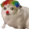 clownnani