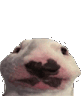 WalterBounce Discord emoji