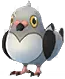 Pidove