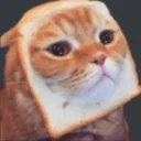 meow
