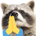 RACCpray