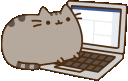 PusheenComputer