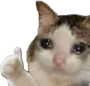 ok1