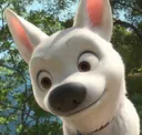 BoltHeadTilt