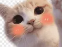 catblush1