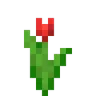 gul