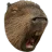 LETSBARA