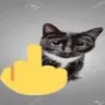 CatNo