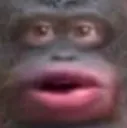 durpmen