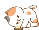 tontonwaittt tontonwaittt