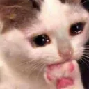 cri