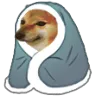 cheemsblanket