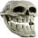 TROLLSKULL