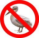 NoPelican