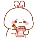 1_Transbunbun_takenote