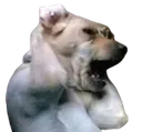 oi_gioi_oi