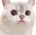 What Discord emoji