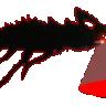krill2