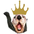 queen_otter