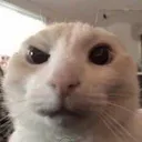 Que Que