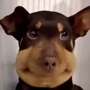 ficklefiggle