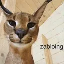 zabloing