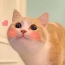 a_blush