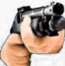 shotgun