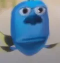 _pora