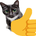 catThumbsUp