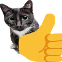 catThumbsUp