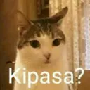 Kipasa