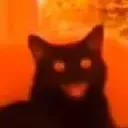 Demoncat demoncat Discord Emoji